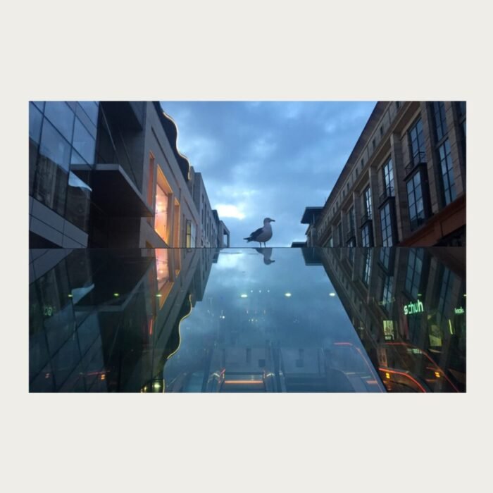 bird reflection in clouds by Bhaskar Kundu