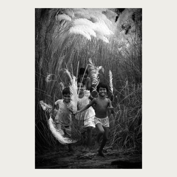 children playing in kash grass in West Bengal by Bhaskar Kundu