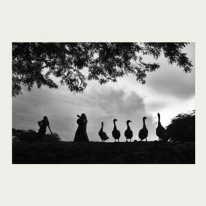 People and ducks from low angle by Bhaskar Kundu