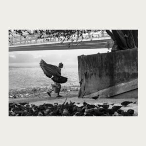 Man walking beside pigeons near the Ganges in Kolkata – photograph by Debrani Das