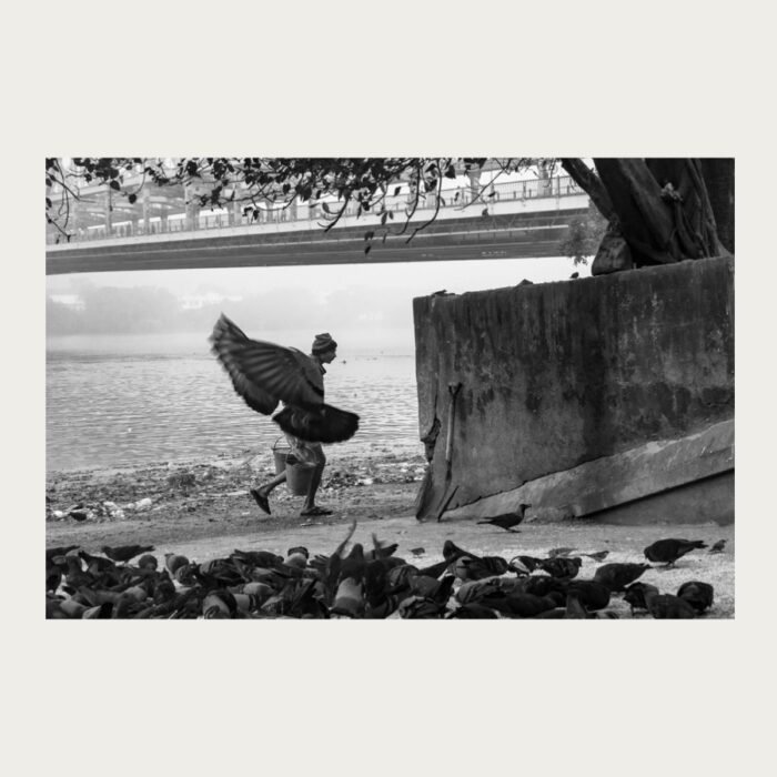 Man walking beside pigeons near the Ganges in Kolkata – photograph by Debrani Das