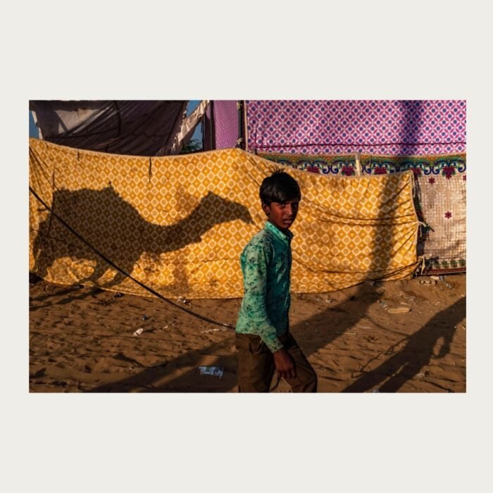 Camel shadow in Pushkar desert – fine art photograph by Debrani Das