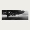 Black and white panoramic documentary photograph of Kolkata by Rajib De, analogue film